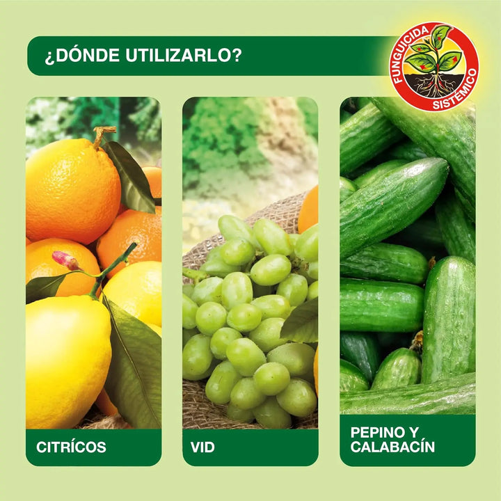 Fongicide gazon Protect garden 500g ADF1458